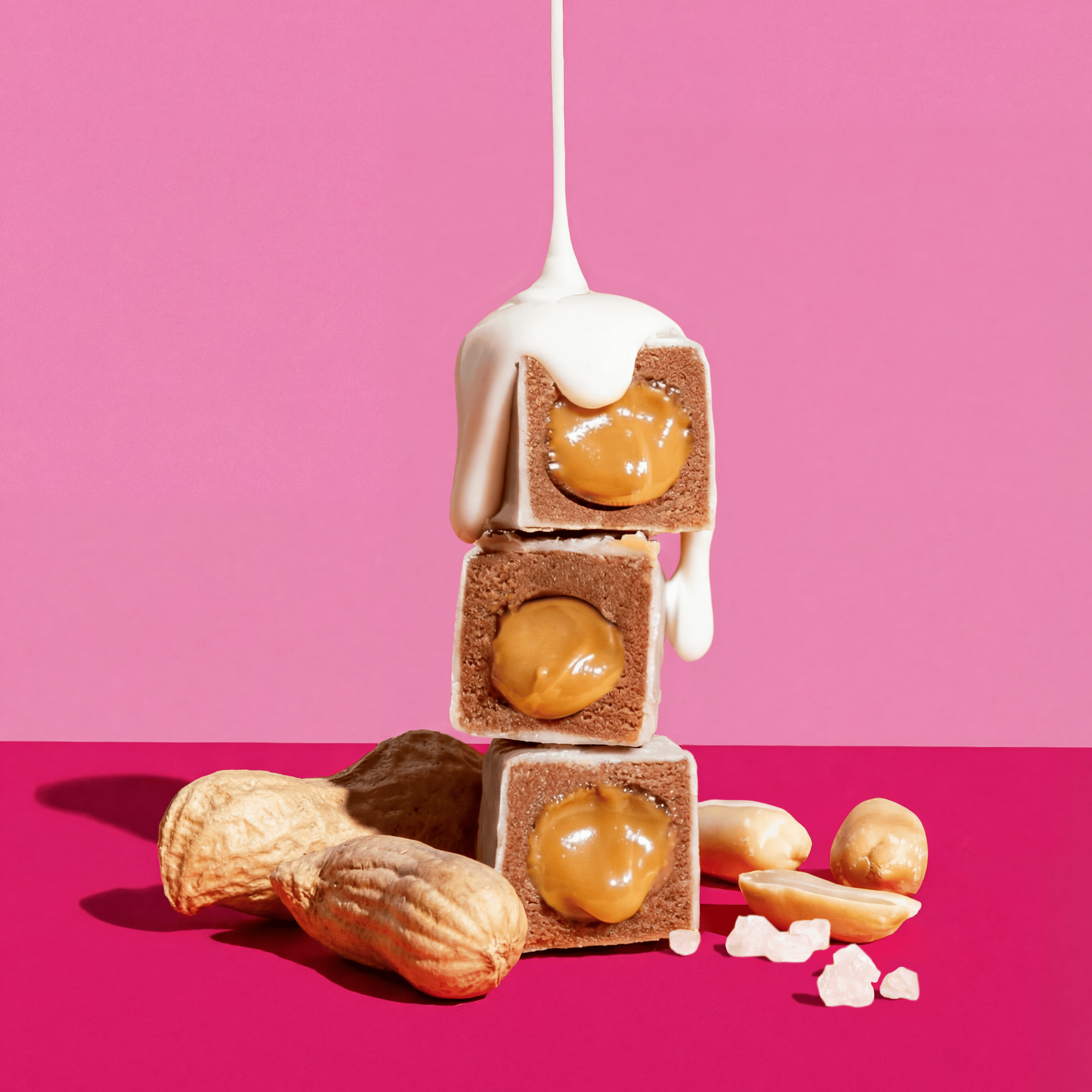 Bio Protein Bites Salted Peanut