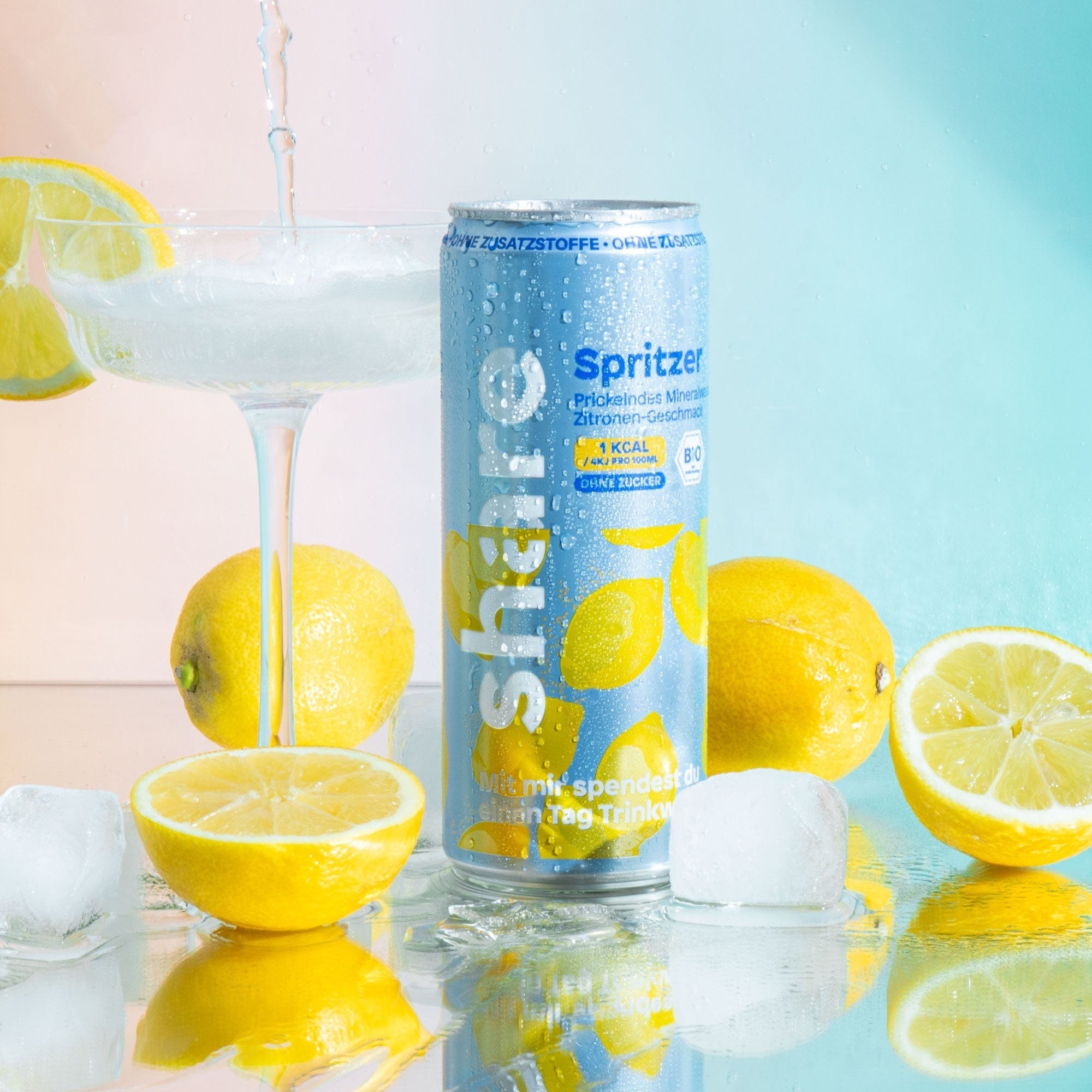 Bio Spritzer Probierpaket